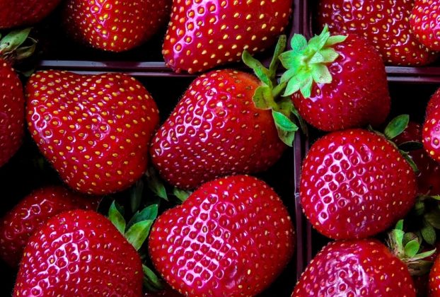 De jolies fraises. (Photo : Unsplash)