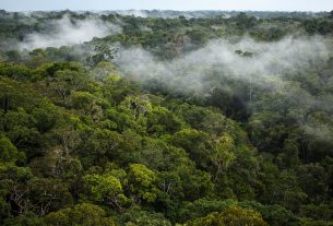 Amazonie CO2