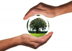 protection environnement deces annee