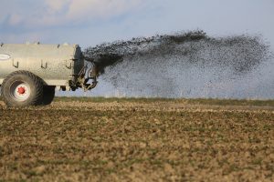 Un tracteur rejettant des engrais sur une exploitation.