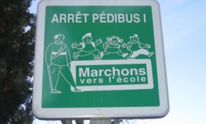 pedibus solution terre