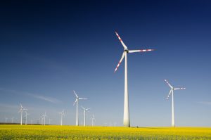 L'éolien, l'une des énergies renouvelables ignorées par le projet de loi de souveraienté énergétique.