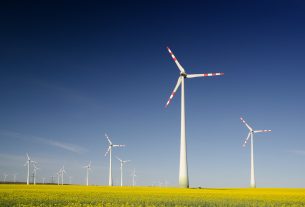L'éolien, l'une des énergies renouvelables ignorées par le projet de loi de souveraienté énergétique.