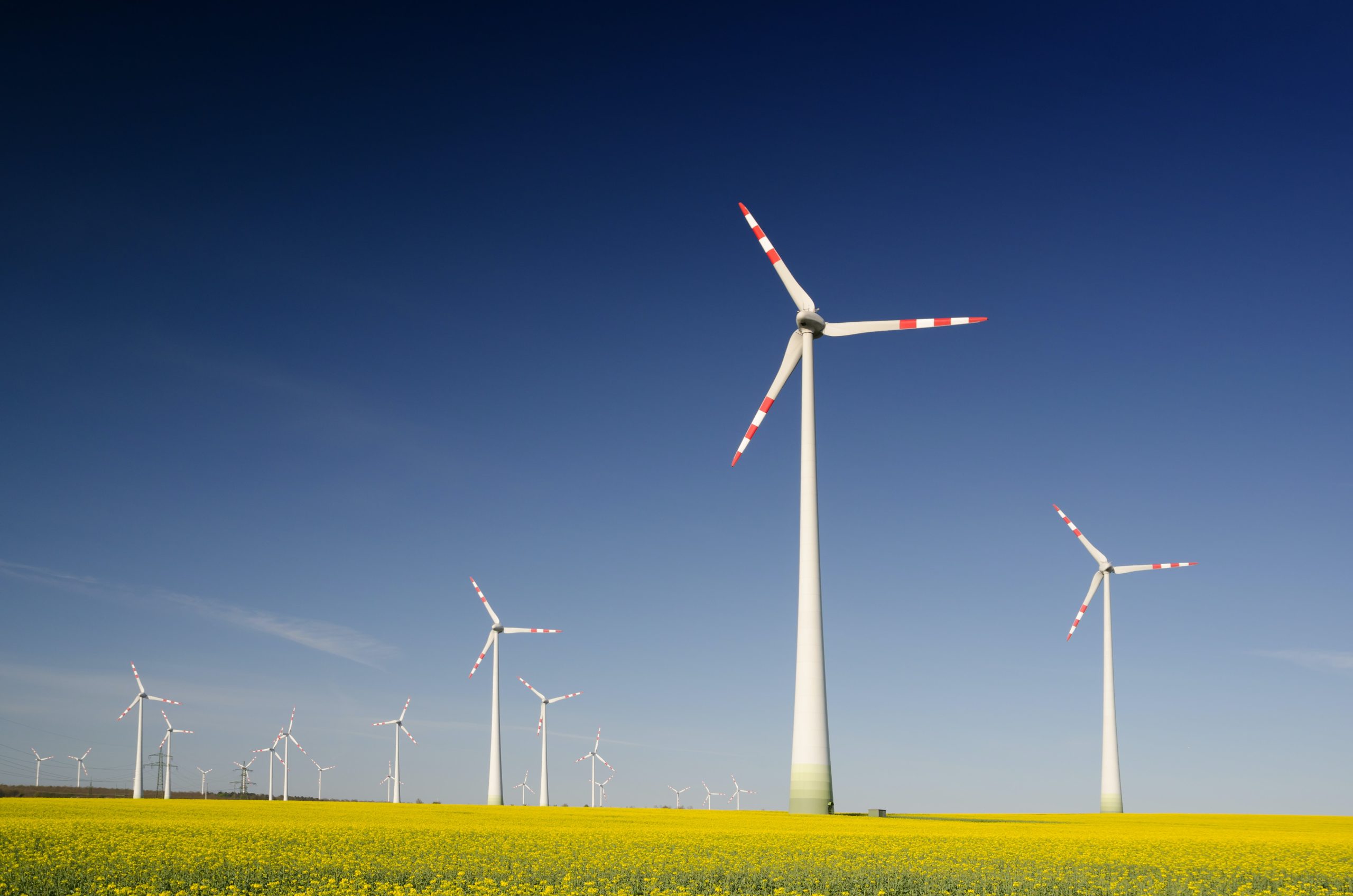 L'éolien, l'une des énergies renouvelables ignorées par le projet de loi de souveraienté énergétique.